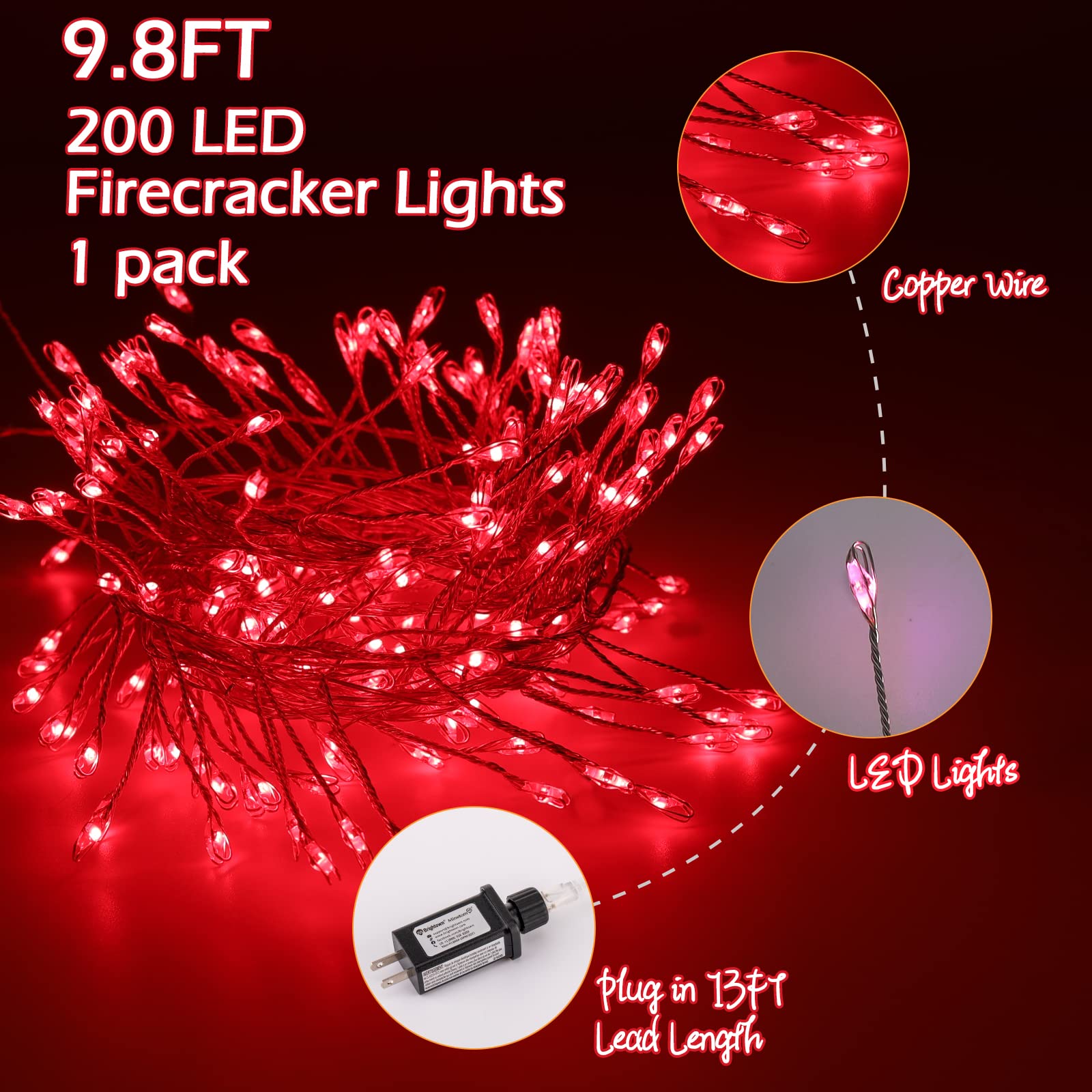 1 x 10 Feet / 200 LED / Red / Silver Wire
