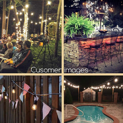 30 Count / Incandescent Bulbs / Clear