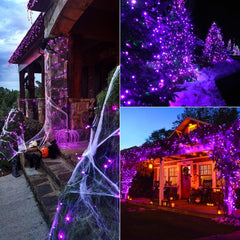 66 Feet / 200 LED / Purple / Black Wire