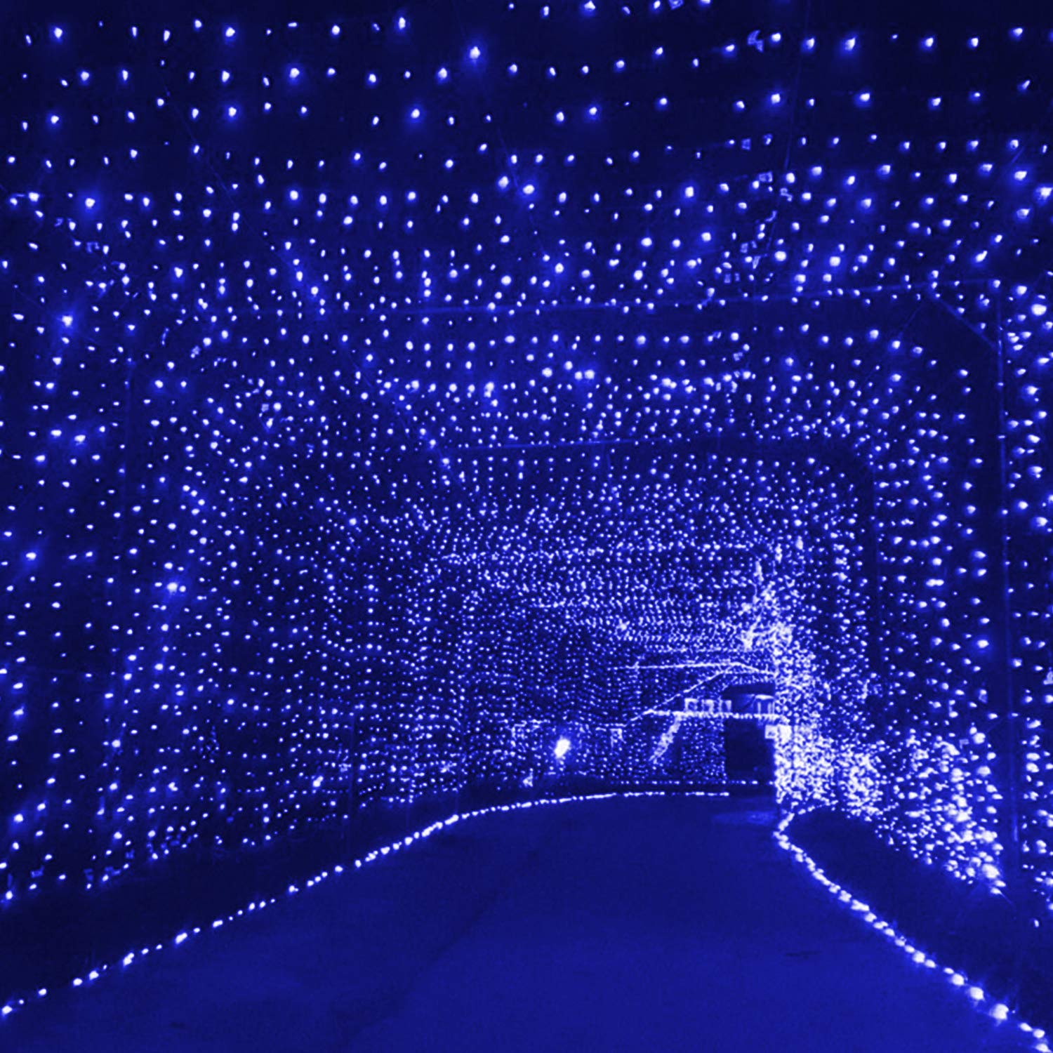 9.8 Feet / 300 LED / Blue