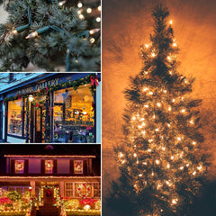 1 x 25 Feet / 100 Bulbs / Warm white