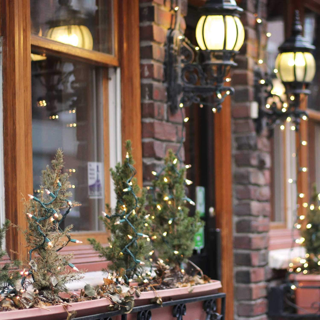 2 x 25 Feet / 100 Bulbs / Warm white