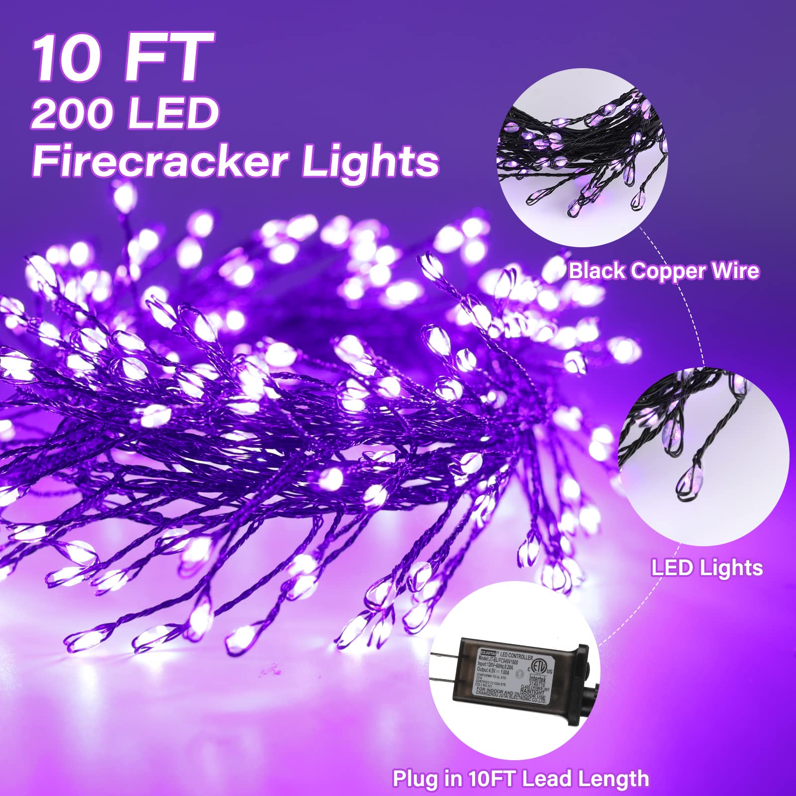 1 x 10 Feet / 200 LED / Purple / Black Wire