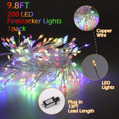1 x 10 Feet / 200 LED / Multicolor / Silver Wire