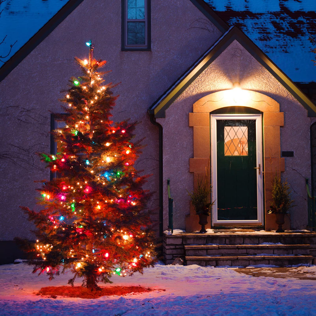 25 Count / Multicolor / Frosted