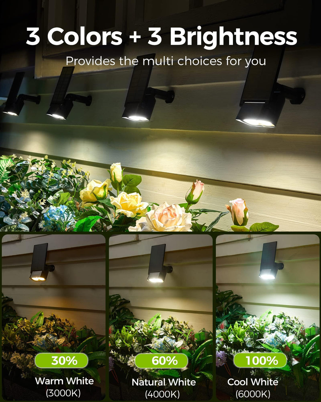 4 Pack / 3 Colors / Remote