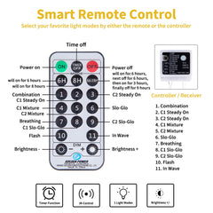 33 Feet / 100 LED / Remote