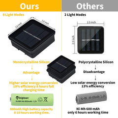 1 x 31 Feet / 50 LED / Bee / Warm White