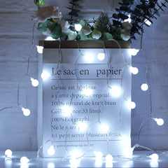 33 Feet / 100 LED / Pure White / Adapter