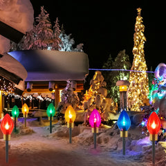 1 Pack / 8.5 Feet / 5 Bulbs / Multicolor