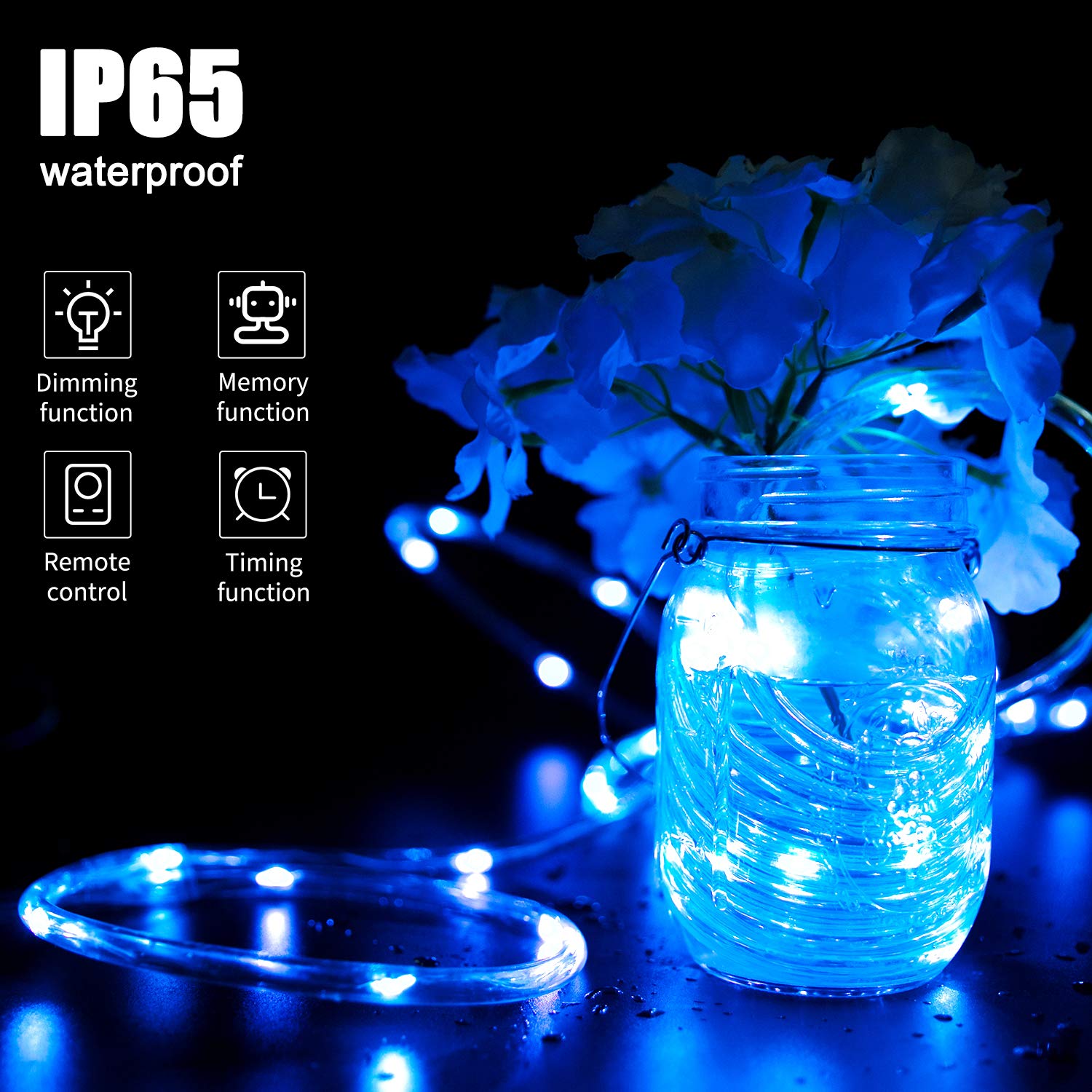 33 Feet / 100 LED / Multicolor / 13 Modes