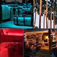 33 Feet / 100 LED / Multicolor / 13 Modes