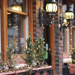 1 x 25 Feet / 100 Bulbs / Warm white