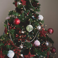 2 x 25 Feet / 100 Bulbs / Warm white