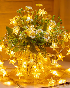 17 ft 50 LED Battery Operated Star String Lights, Warm White